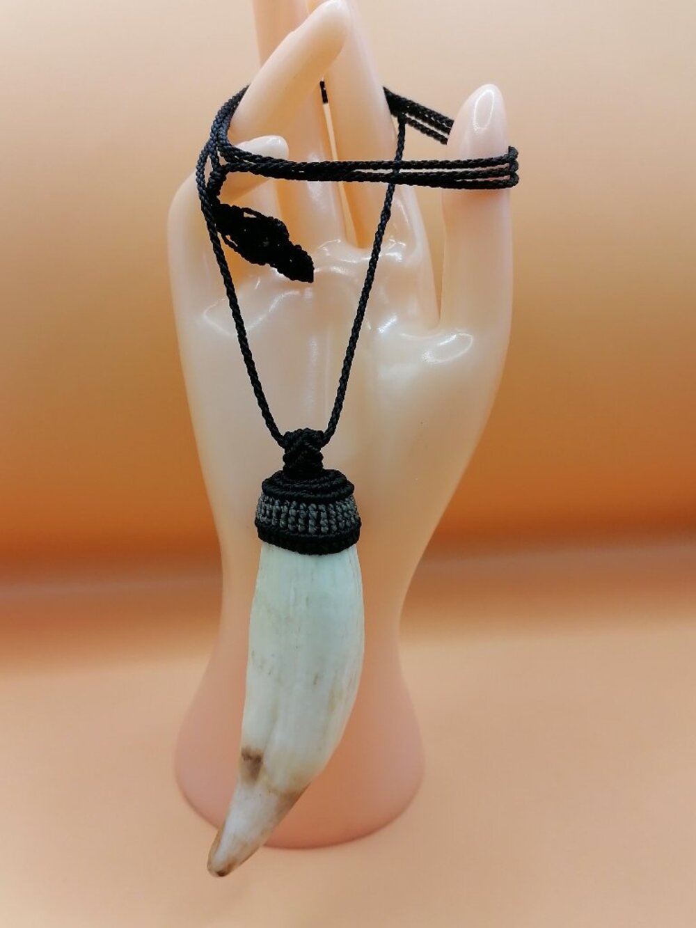 Shamanic Sea Lion Tooth Necklace Protection Amulet - Picture 7 of 8